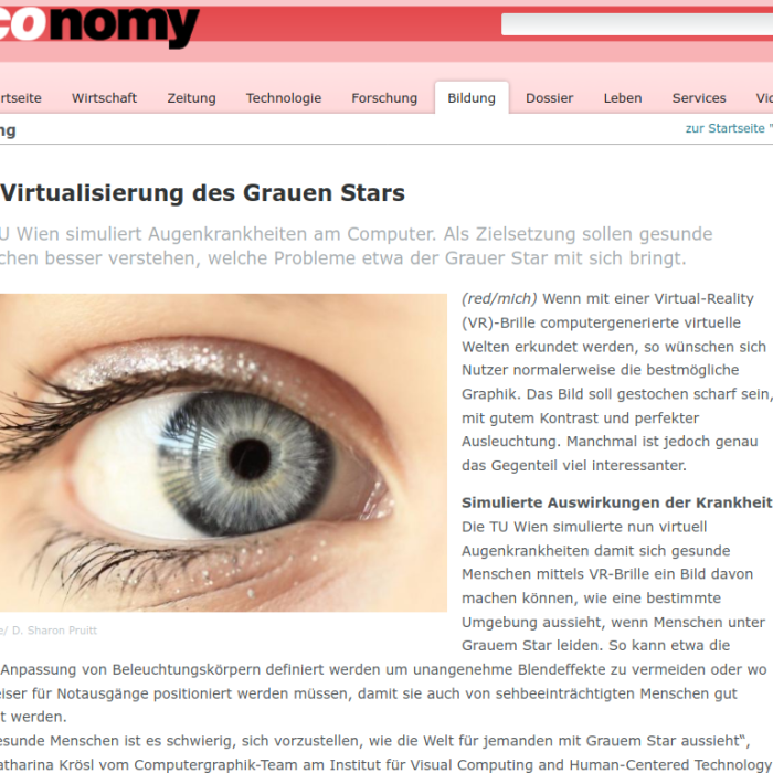 Die Virtualisierung des Grauen Star, economy, 2019